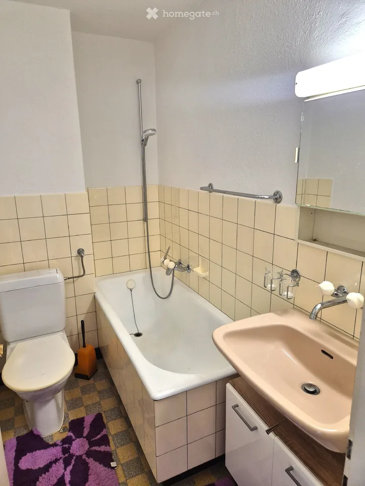 Bright 3-room apartment with balcony in Winterthur-Seen