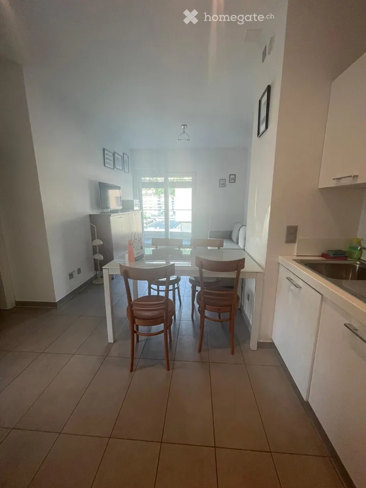 Lugano Cassarate - Vaste appartement de trois pièces, récemment rénové