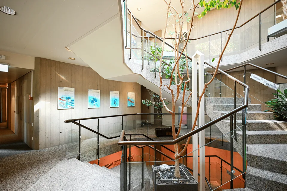 BUREAUX FONCTIONNELS SUR LE SITE DE KENNY