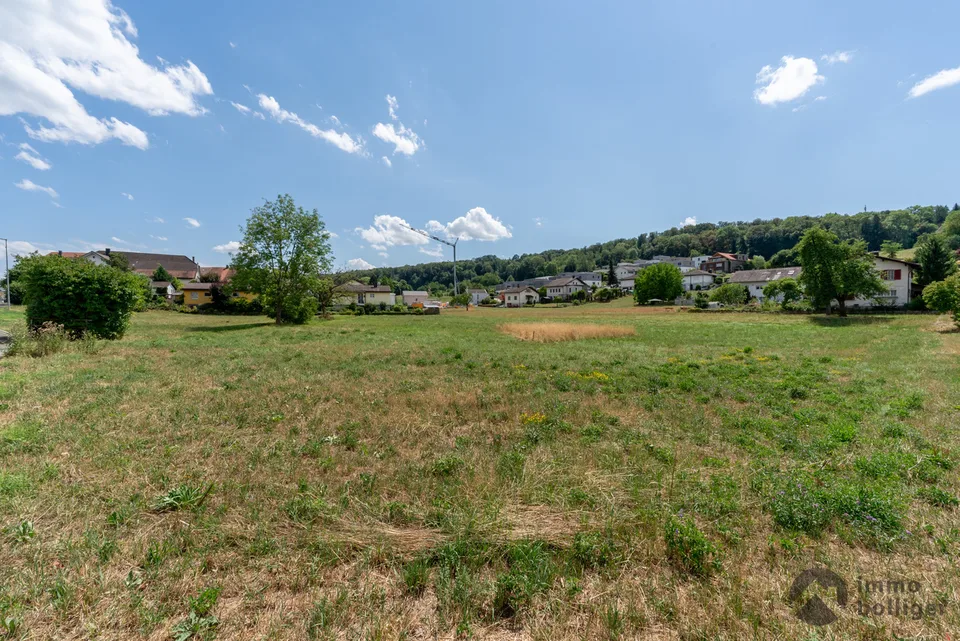 Shape the Future: Building Land for Area Development