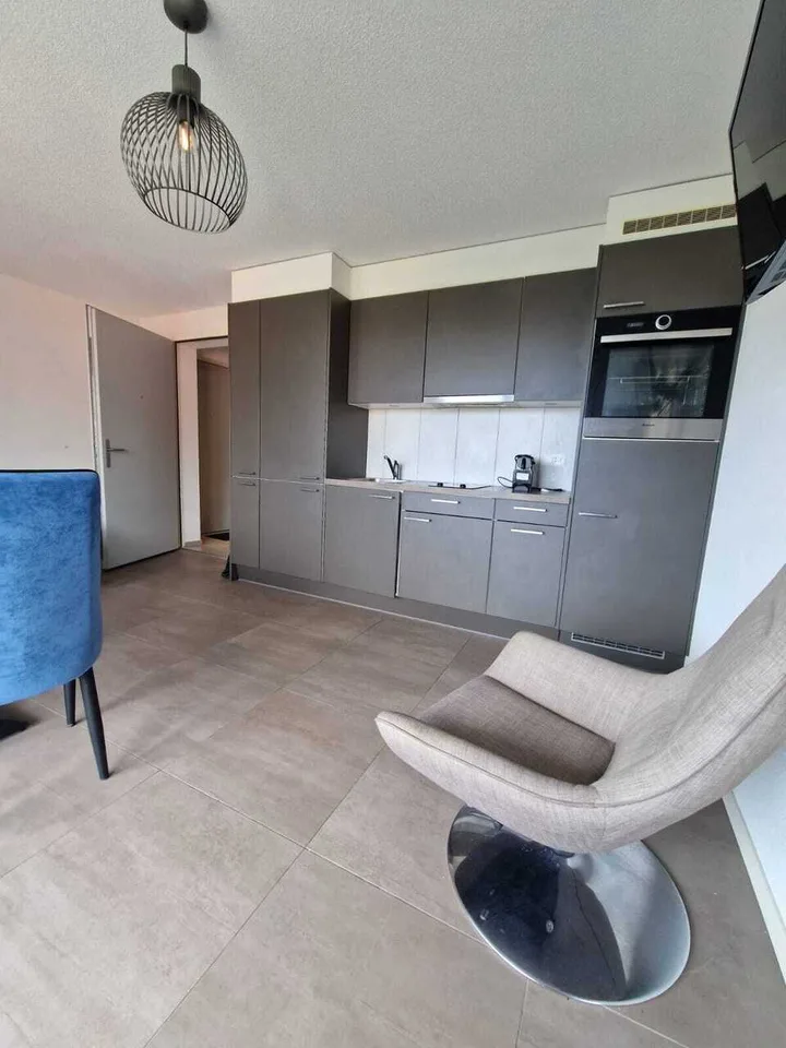 Beautiful apartment at Chemin des Diablerets 2, 1012 Lausanne