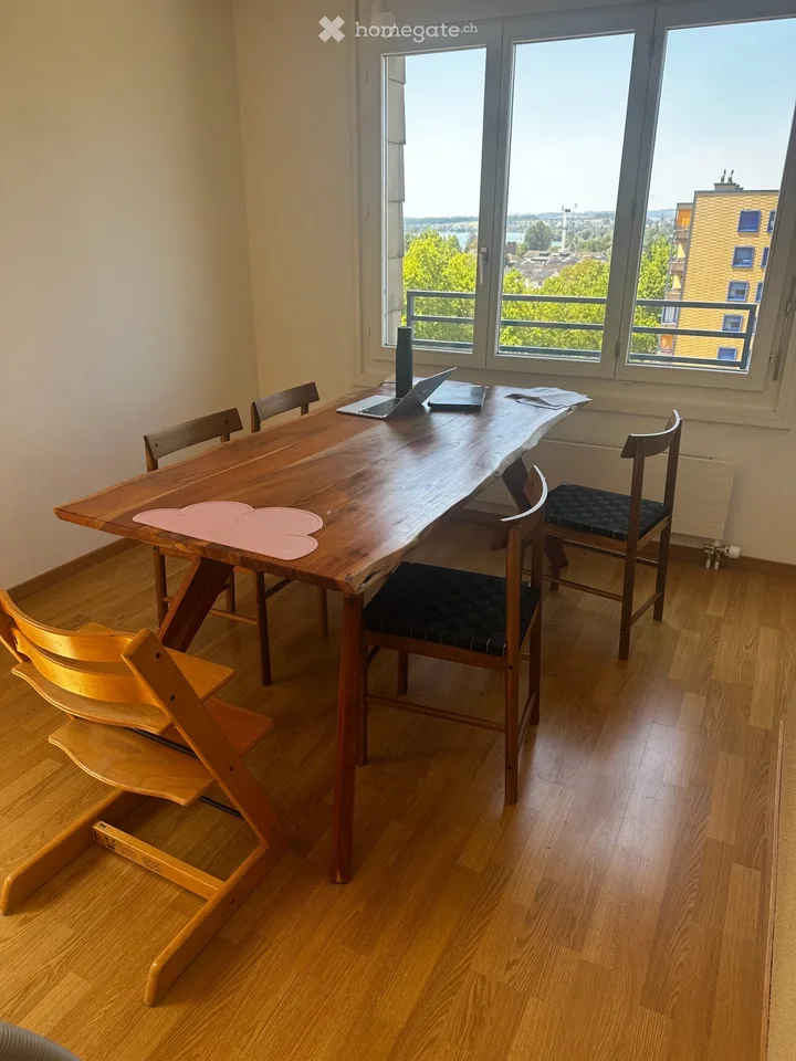 Zimmer: grosse zentrale ruhige Attikawohnung mit Seeblick