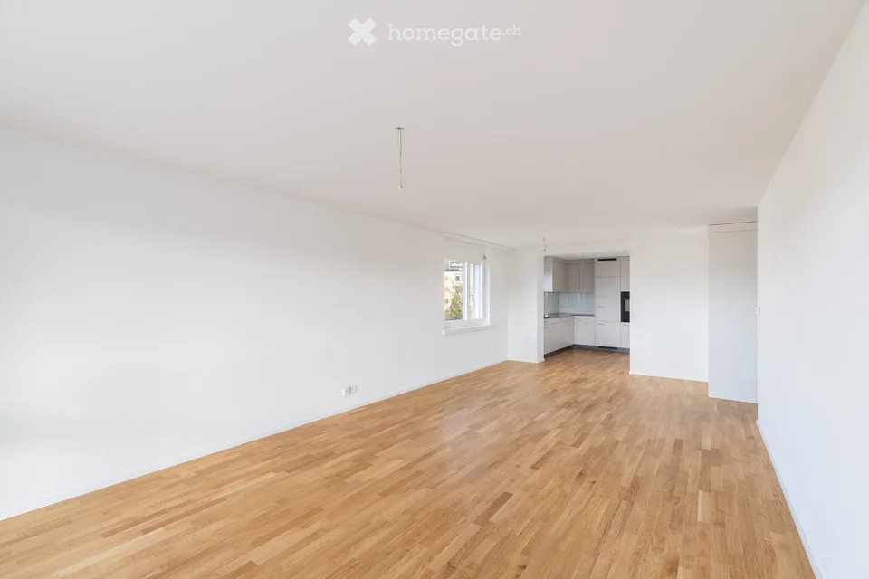 Modern 4.5-room total renovation with balcony in Widen
