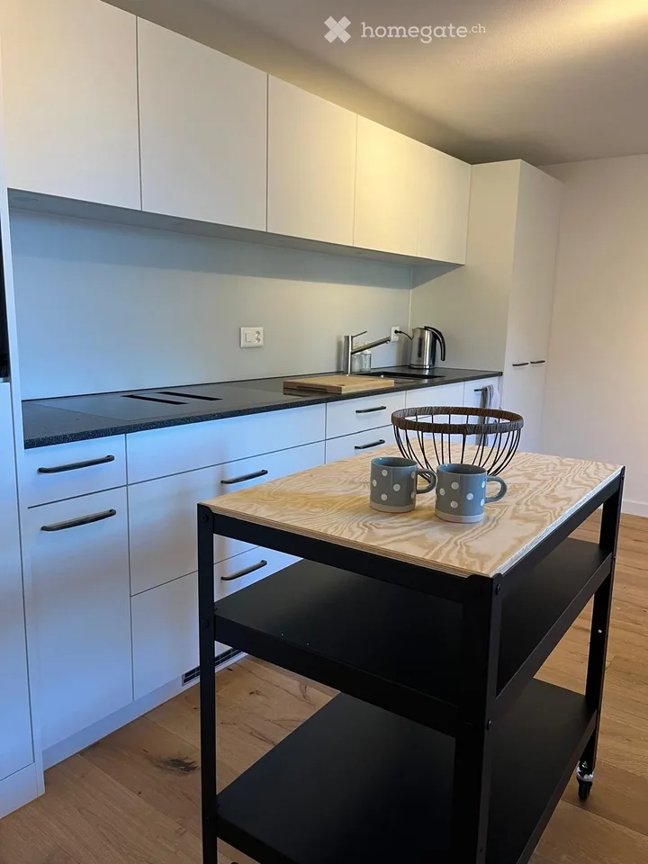 Studio apartment, furnished or unfurnished by agreement