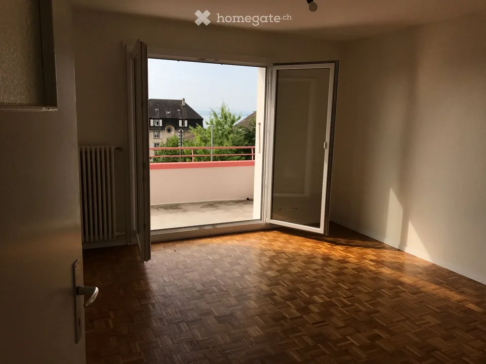 Tres bel appartement rénové avec balcon et vue