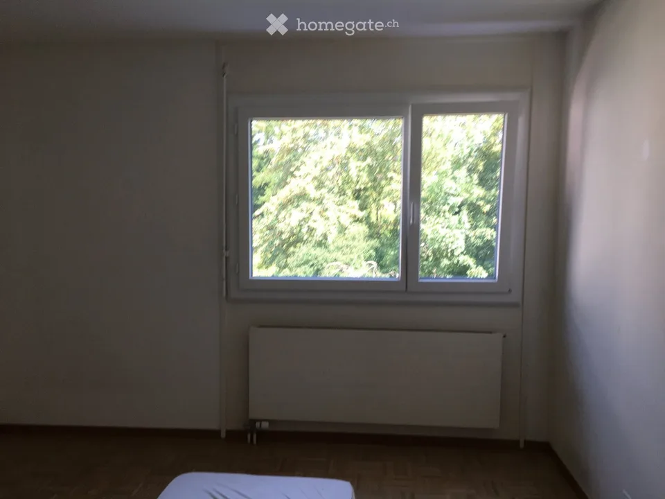 Schönes 3.5-Zimmer-Apartment