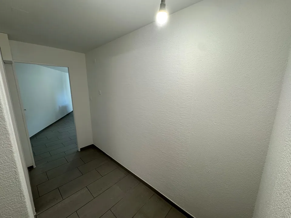 Appartement fraîchement rénové d'une pièce au cœur d'Eglisau