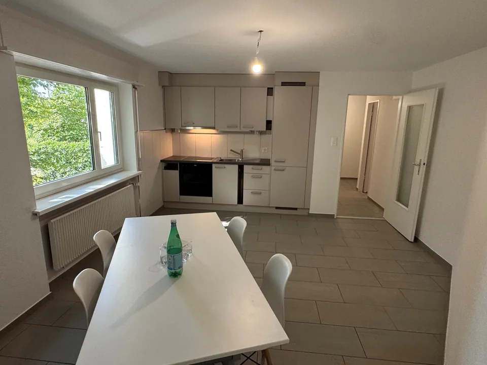 Appartement fraîchement rénové d'une pièce au cœur d'Eglisau