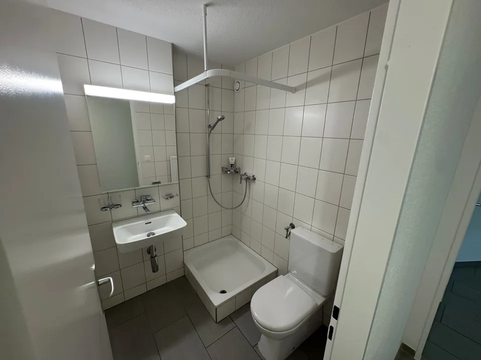 Appartement fraîchement rénové d'une pièce au cœur d'Eglisau