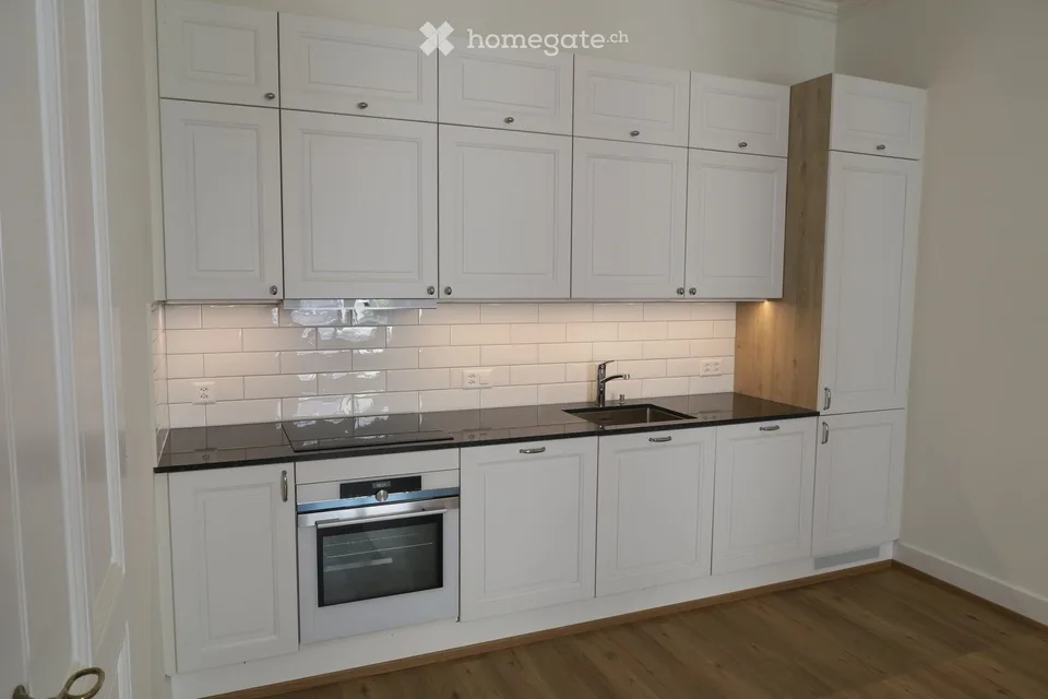 Magnifique 3.5 pièces refait à neuf à Saint-Jean