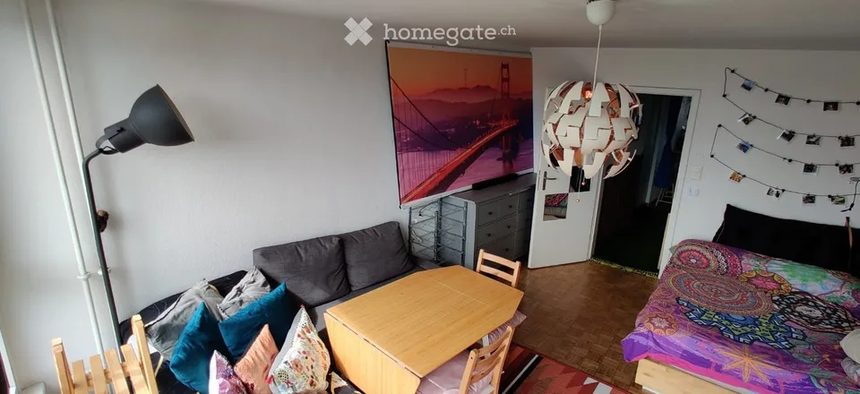 Furnished studio with panoramic view, 7th floor — sublet 30 Aug 2026 – 30 Jan 2027, Zurich Wiedikon