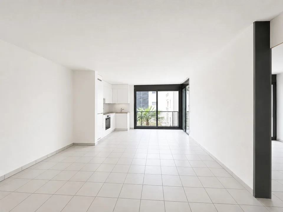 Portfolio of 3 Apartments in the Same Building – Locarno
