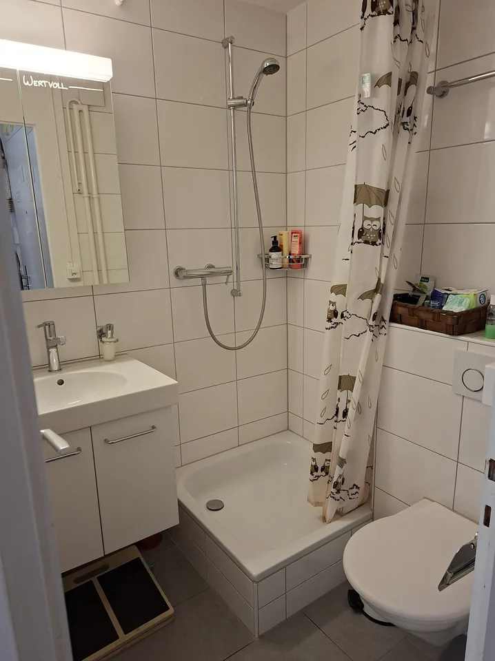2 ZI-WOHNUNG IN THUN (BE), MÖBLIERT, TEMPORÄR