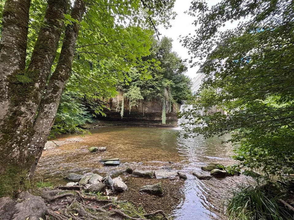 Appartamento attico esclusivo di 3,5 locali a Riverside, nel mezzo di una zona verde con una vista sognata