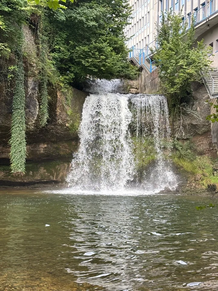 Appartamento attico esclusivo di 3,5 locali a Riverside, nel mezzo di una zona verde con una vista sognata