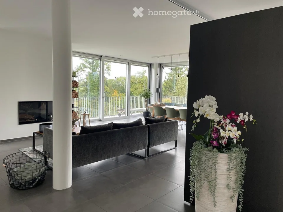 Appartamento attico esclusivo di 3,5 locali a Riverside, nel mezzo di una zona verde con una vista sognata