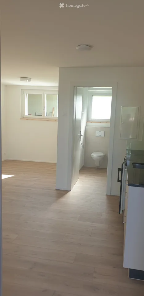 Modern studio apartment on the ground floor in Nottwil, ideal for weekly stays