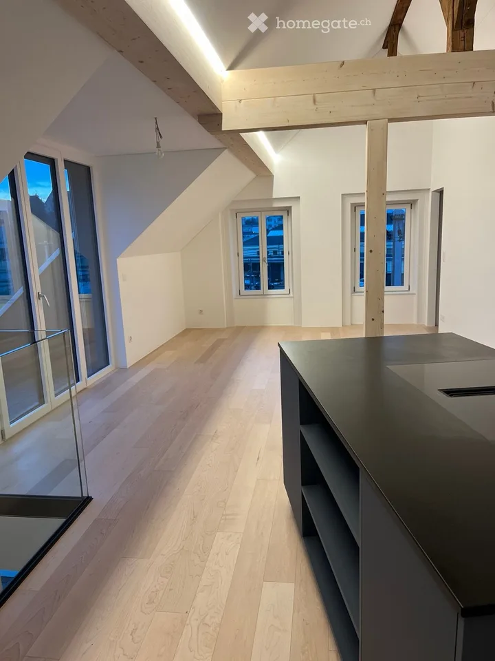 Renovated 5.5 room duplex with garden