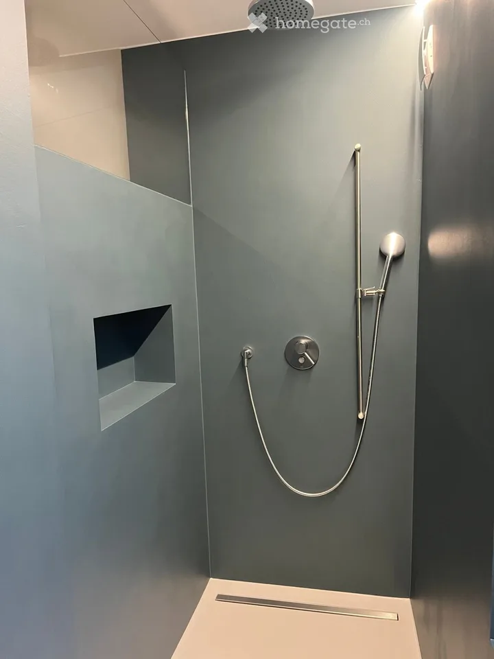 Renovated 5.5 room duplex with garden