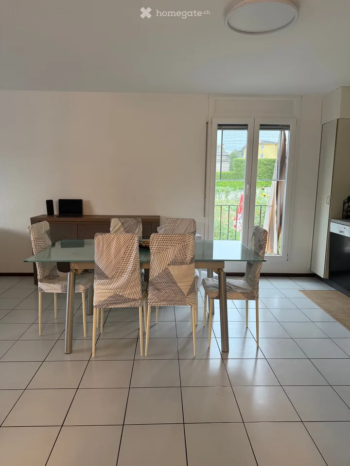 Subletter for large apartment with private garden