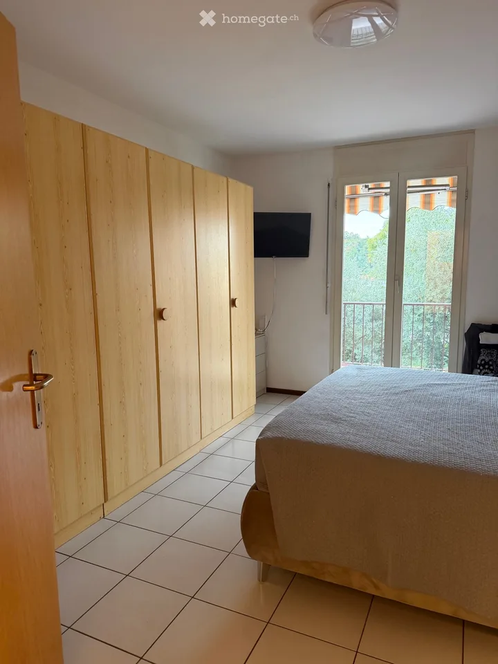 Subletter for large apartment with private garden