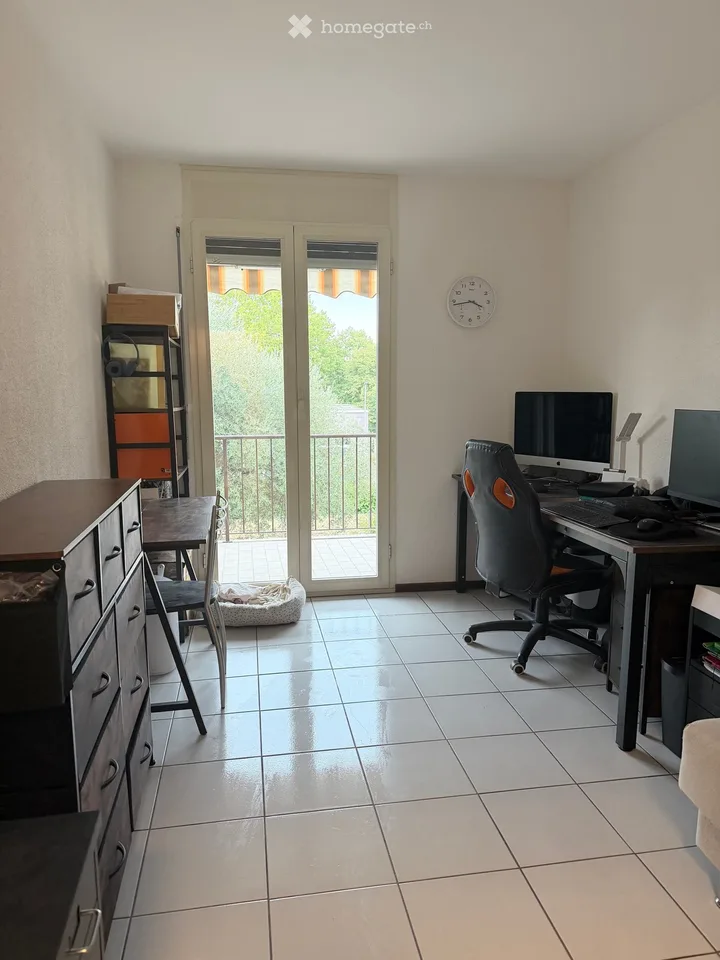 Subletter for large apartment with private garden