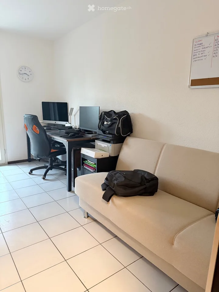 Subletter for large apartment with private garden