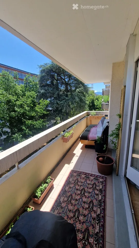 Reprise de bail Appartement 3p Charmilles 15 sept - 31 dec.