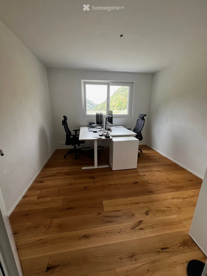 Modern 4.5-room new apartment with balcony and beautiful view in Wölflinswil