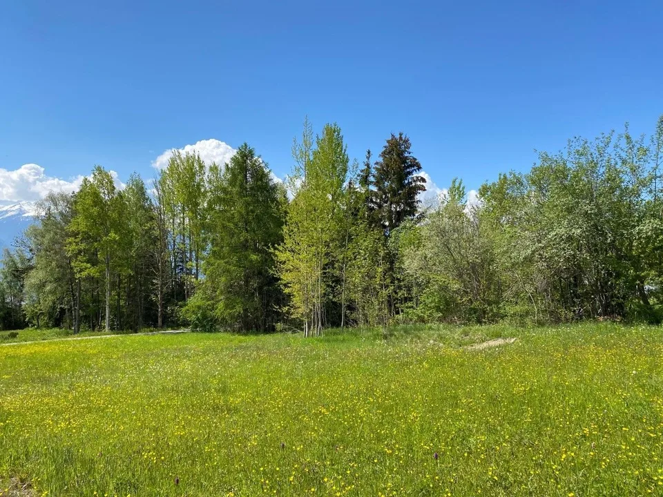 Plots with favorable preliminary approval from the commune for construction