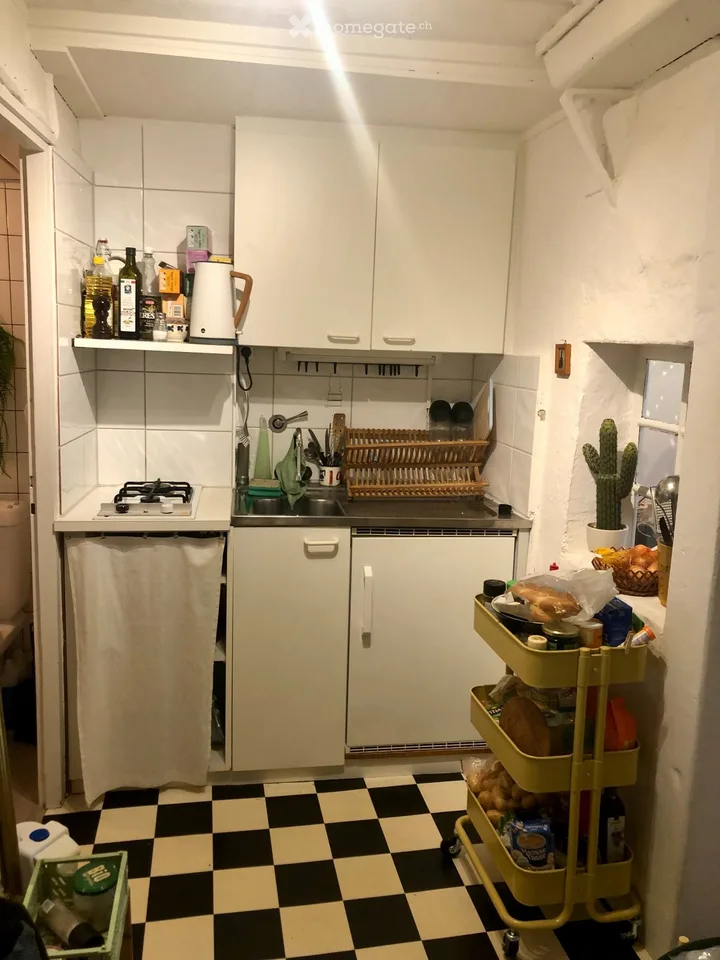 Möbl. 1-Zi- Wohnung mit priv. Terrasse ab 15. Okt./01 Nov.