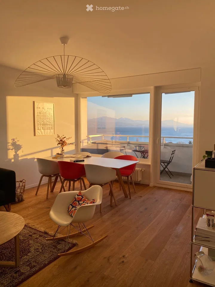 Superb attic, panoramic lake view, balcony, parking