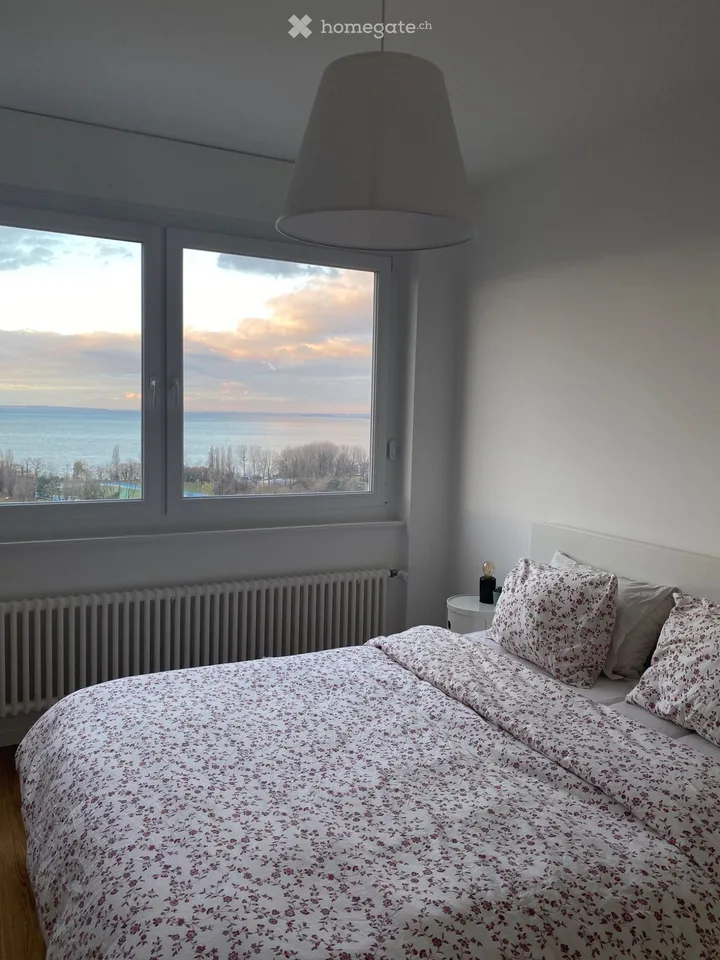 Superb attic, panoramic lake view, balcony, parking