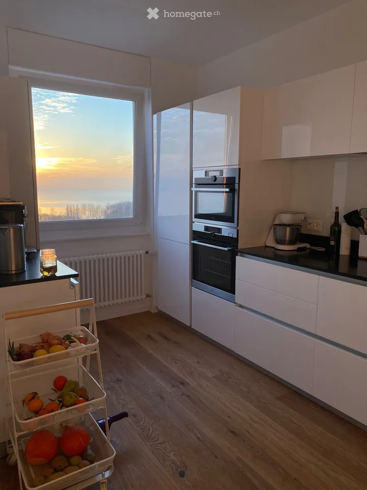 Superb attic, panoramic lake view, balcony, parking