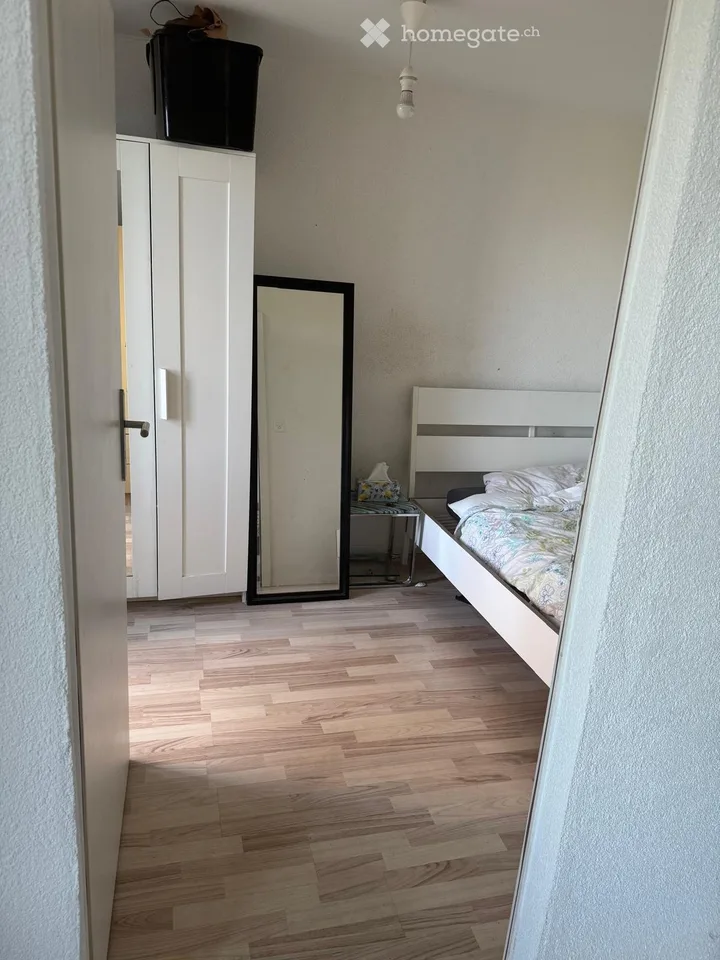 2.5-room apartment in Cité Suchard, 3 minutes from the lake