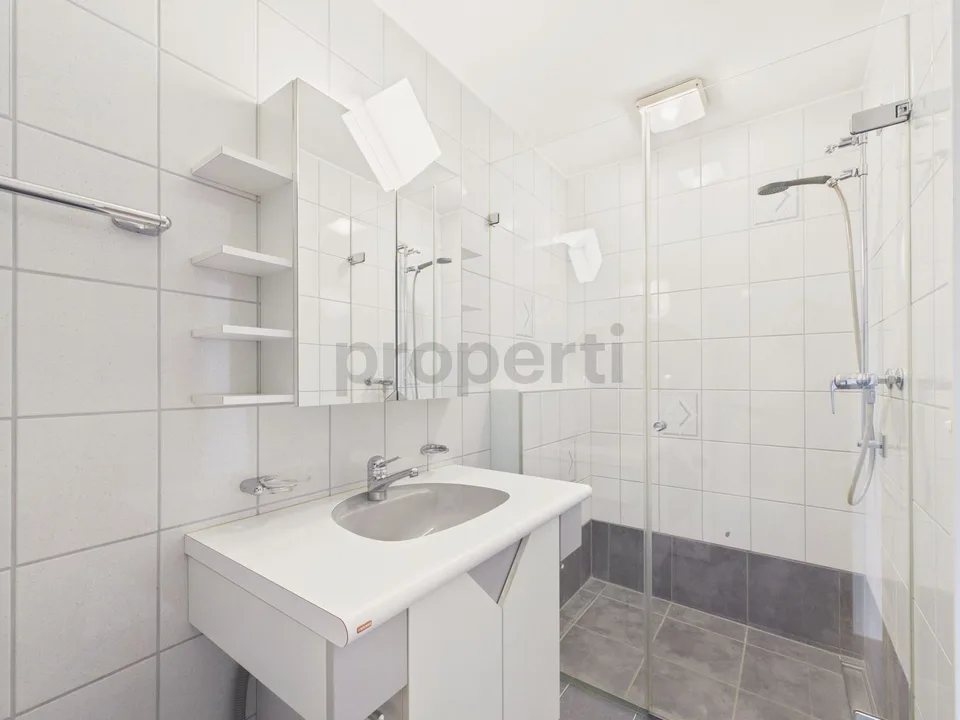 Newly renovated 4.5-room elegant apartment with private parking, Bubendorf