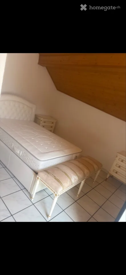 Rent fully furnished apartment