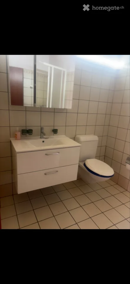Rent fully furnished apartment