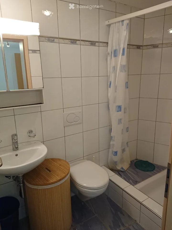 Appartamento Studio 1,5 Locali 30m2 Eschenbach Inwil Emmen