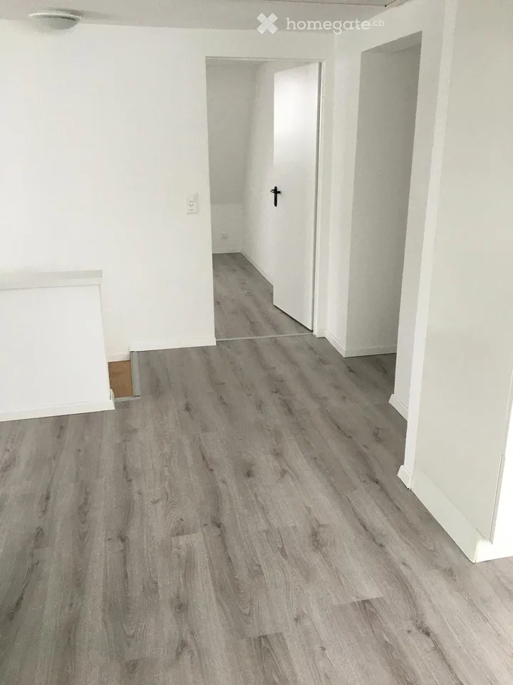 Attractive 3.5 room attic apartment
