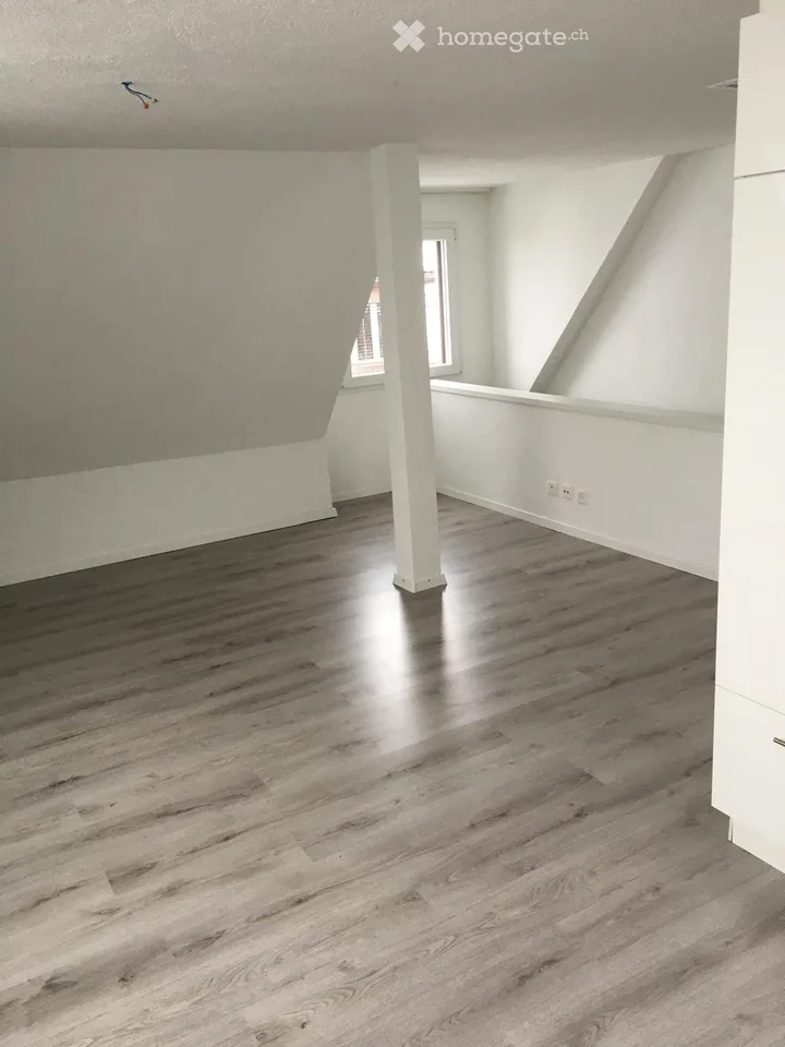 Attractive 3.5 room attic apartment