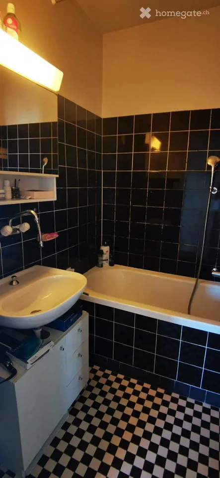 3,5 locali, 68 m2, Av. Riant-Mont 17 Lausanne centro molto calmo.