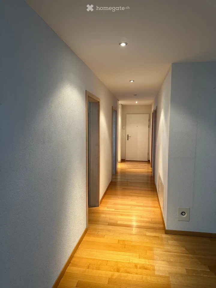Moderne 4.5 Zimmer Attika-Wohnung (Minergie)