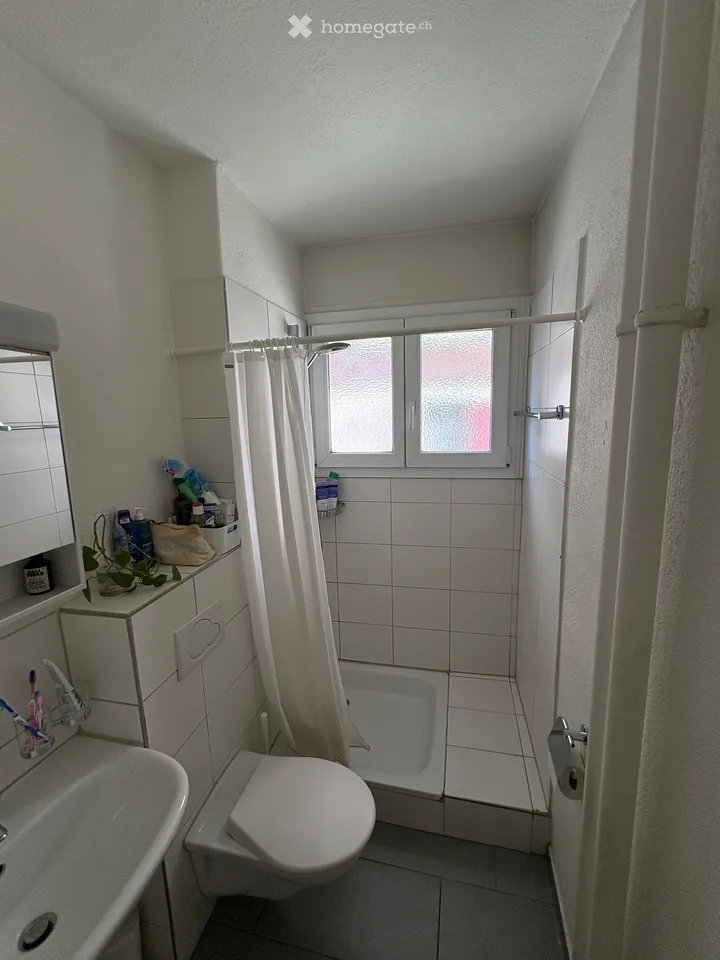 Charming 2-room ground floor apartment on Kanonengasse, Zürich 8004