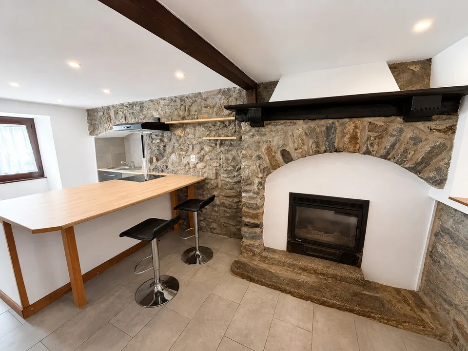 SAN VITTORE | 2.5 rooms semi-furnished with fireplace