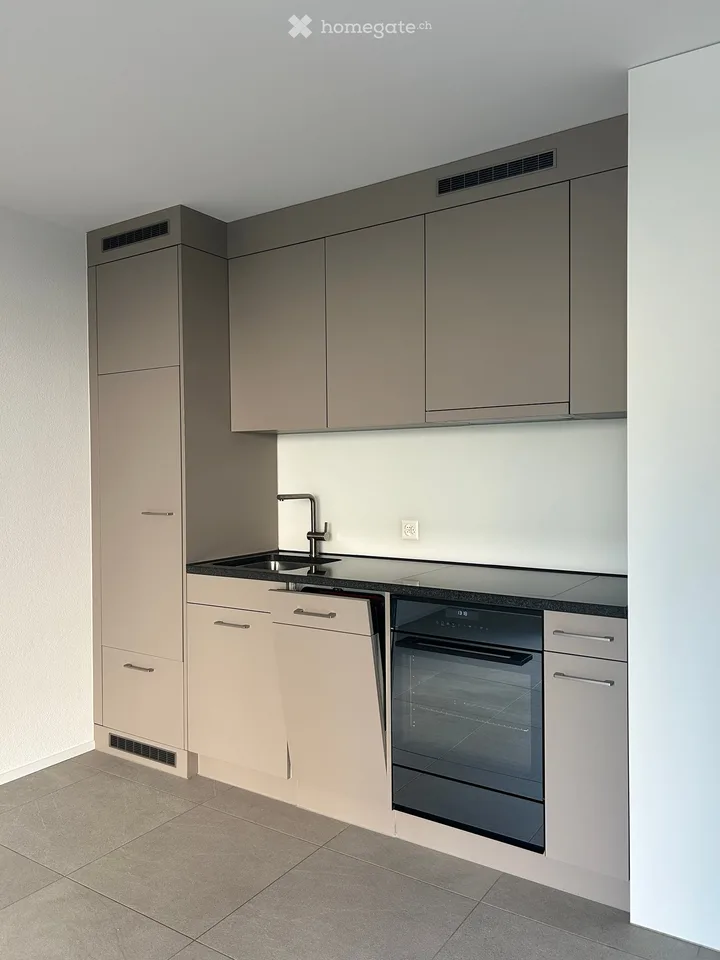 Locataire recherché – joli studio 1 pièce à Winterthur Töss