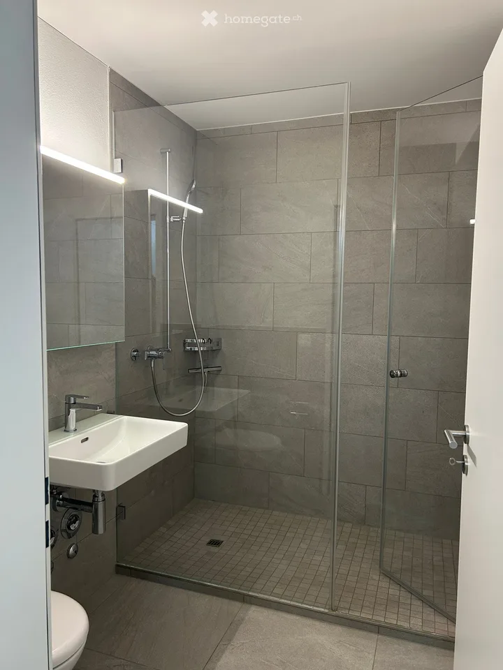 Locataire recherché – joli studio 1 pièce à Winterthur Töss