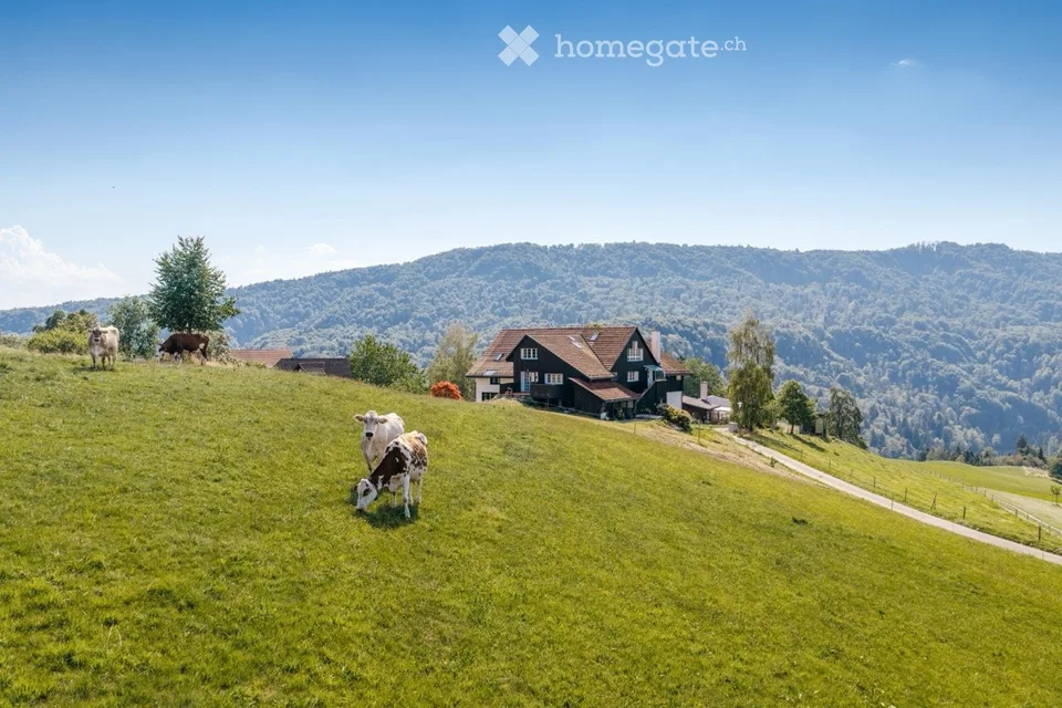 Exklusive Maisonette-Wohnung auf dem Horgenberg – naturnah wohnen, stadtnah leben