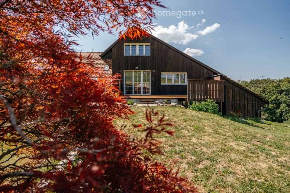 Appartement maisonnette exclusif sur Horgenberg – vivre près de la nature, vivre près de la ville