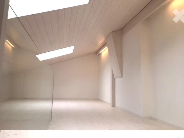 Appartement mansarde lumineux et calme de 3 pièces avec balcon, vue sur le lac inclus garage